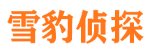 上林侦探公司